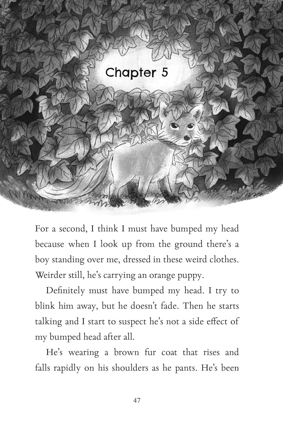 Book Review of 'The Last Firefox' by Lee Newbery, illustrated by